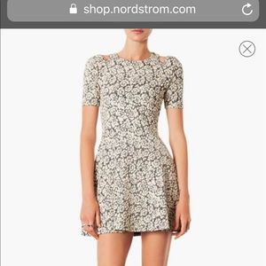 TopShop Jacquard Dress